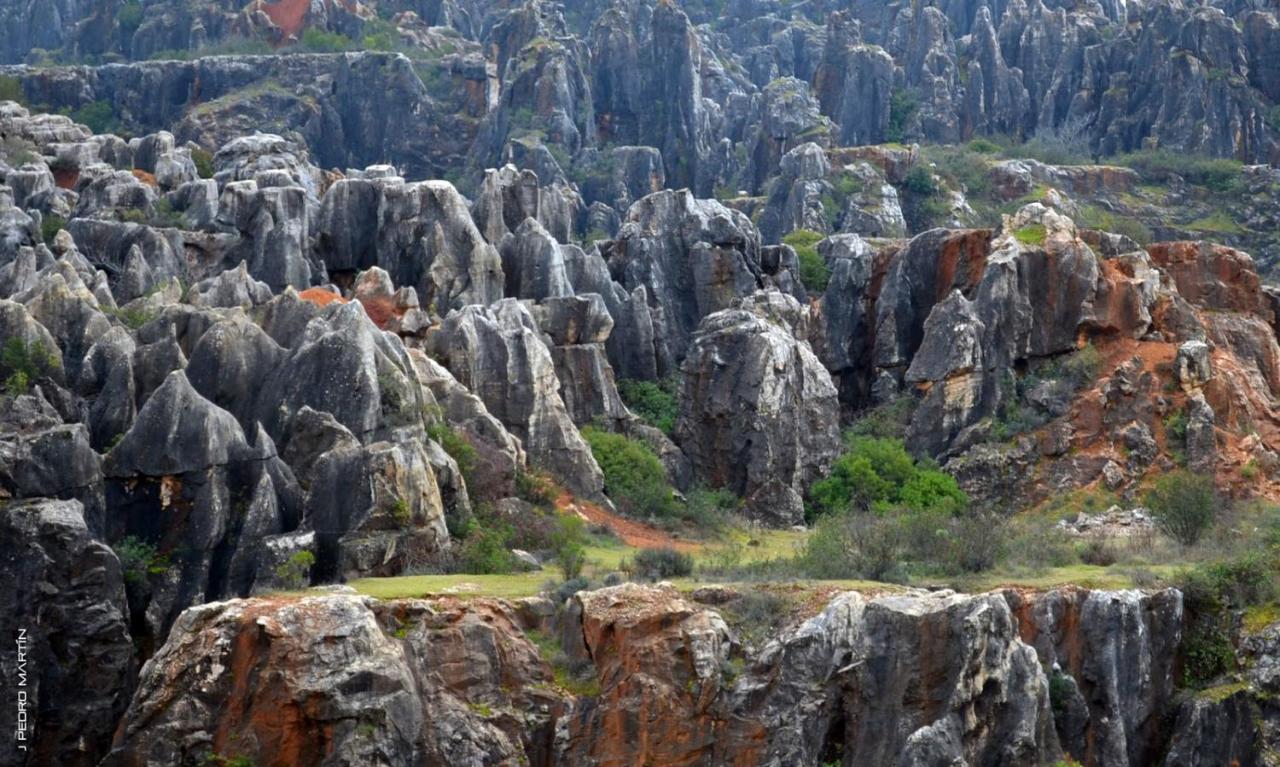 Finca Rural Labriega Del Hueznar Cazalla de la Sierra Ngoại thất bức ảnh