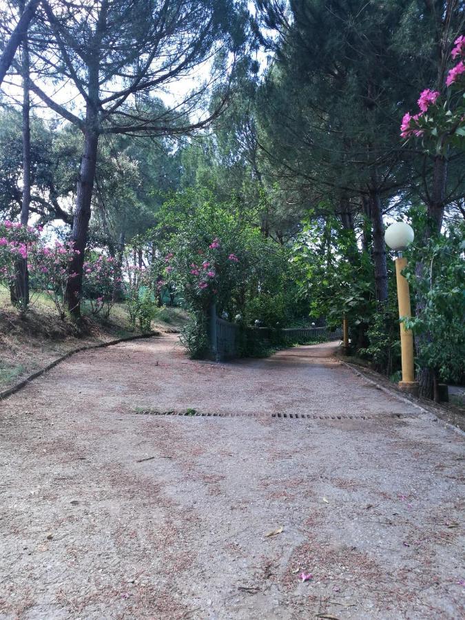 Finca Rural Labriega Del Hueznar Cazalla de la Sierra Ngoại thất bức ảnh