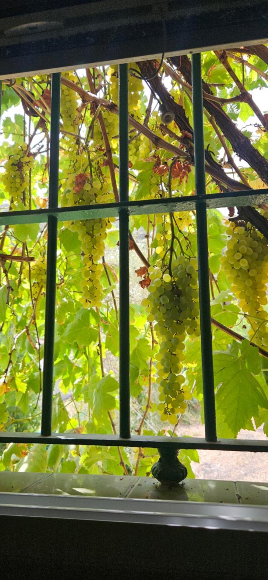 Finca Rural Labriega Del Hueznar Cazalla de la Sierra Ngoại thất bức ảnh